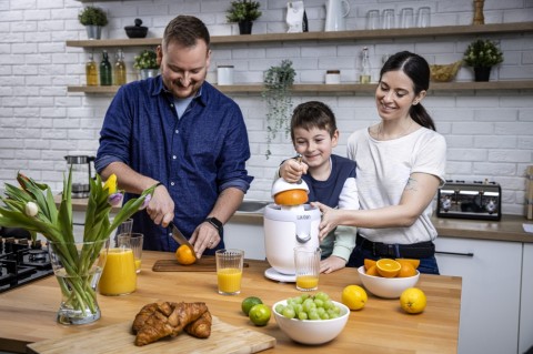 Lauben Electric Citrus Juicer 110WT Citrusprés